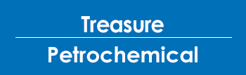 Treasury Based on SAP S/4HANA in Petrochemical Company 