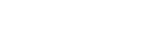 ERP in automotive holding
