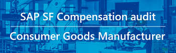 SAP SuccessFactors Audit and Enhancements for a Disposables Manufacturer
