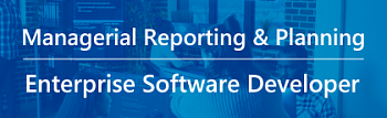 Managerial reporting & planning system for an enterprise software developer